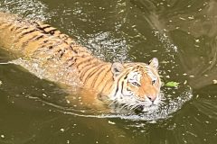 IMG_2535-2-scaled