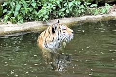 IMG_2536-2-scaled