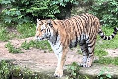 IMG_2537-2-scaled
