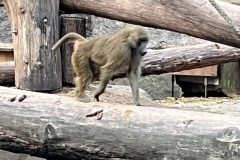 IMG_2546-2-scaled