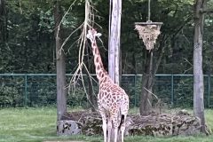 IMG_2548-2-scaled