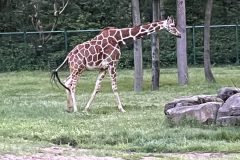 IMG_2551-2-scaled