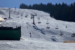 IMG_4557